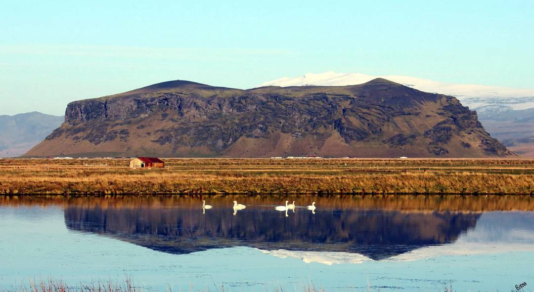 Petursey Island outside of Vik Iceland