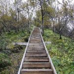 Hiking Path in Thorsmork