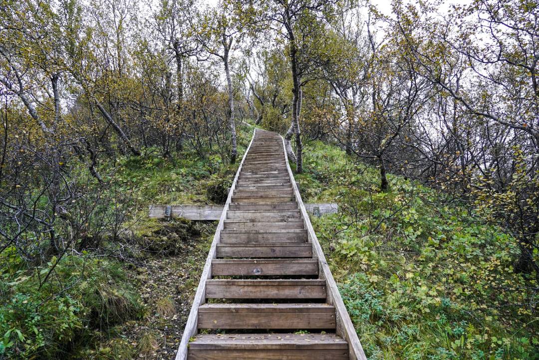 Hiking Path in Thorsmork